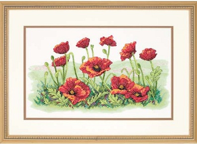 Field of Poppies by Dimensions
