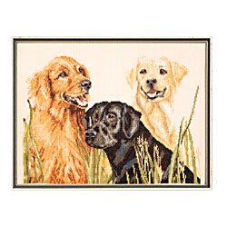 Retrievers by Janlynn