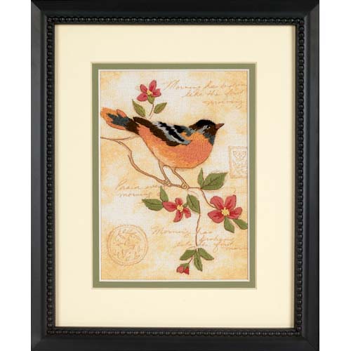 Elegant Oriole by Dimensions