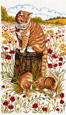 Cats by Eva Rosenstand