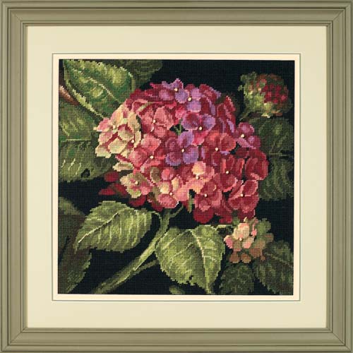 Hydrangea Bloom by Dimensions