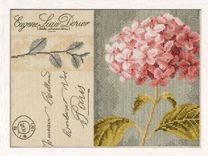 Hydrangea by Lanarte