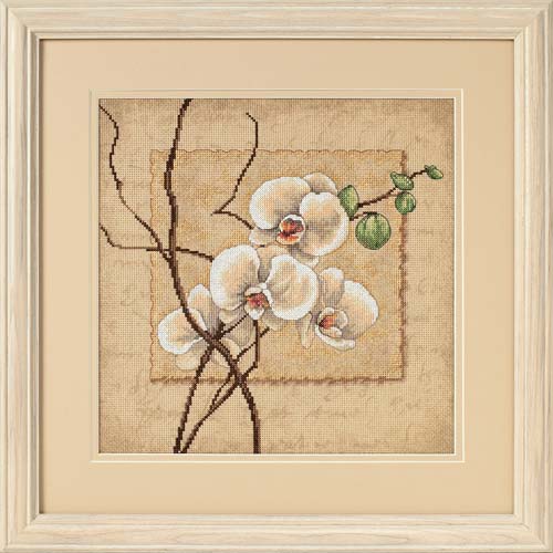 Oriental Orchids by Dimensions