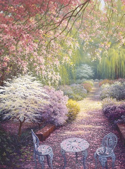 Cherry Blossoms  by Candamar