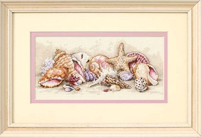 Seashell Treasures by Dimensions