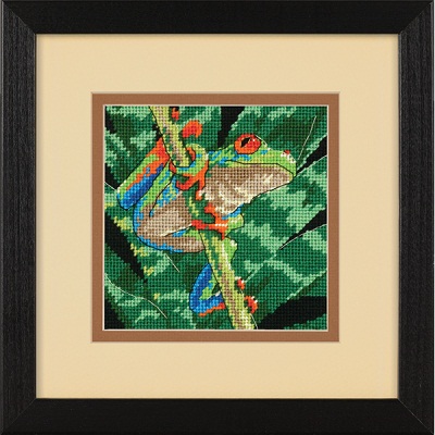 Red-Eyed Leaf Frog by Dimensions