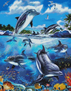 Dolphins at Play  by Kustom Krafts