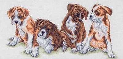 Boxers by Anchor