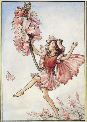 Almond Blossom fairy-printed panel