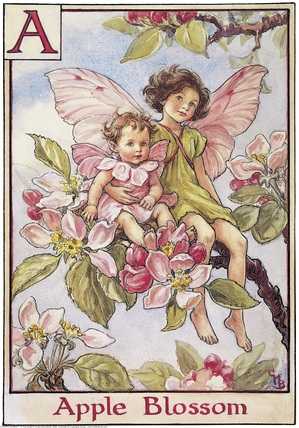 Apple Blossom fairy-printed panel