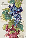 Grapes Bell Pull by Janlynn