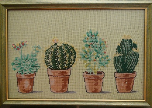 Cactuses-Framed picture