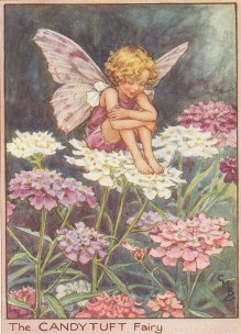 The Candytuft fairy-printed fabric by Di van Niekerk