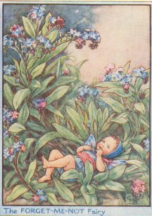 The Forget-me-Not Fairy-printed panel by Di van Niekerk