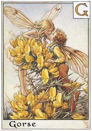 Gorse fairies-printed panel by Di van Niekerk