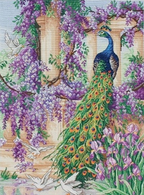 The peacock by Maia