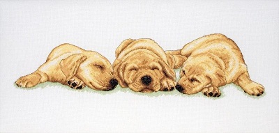 Sleeping Labradors by Anchor
