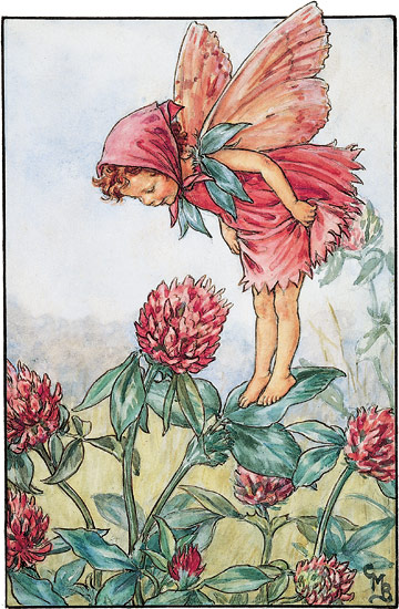 The Red Clover fairy-printed panel by Di van Niekerk