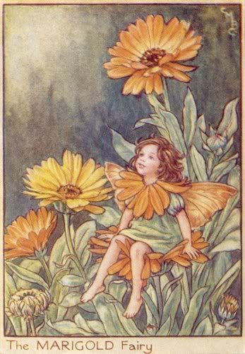 The Marigold fairy-printed panel by Di van Niekerk
