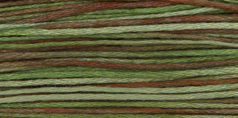 4135-Foliage