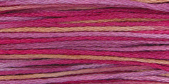 4145-Azaleas