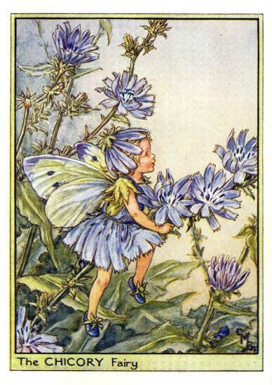 The Chicory fairy-printed panel by Di van Niekerk