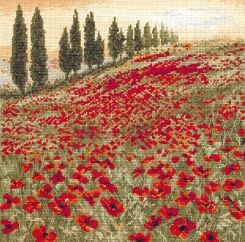 Poppy field by Maia