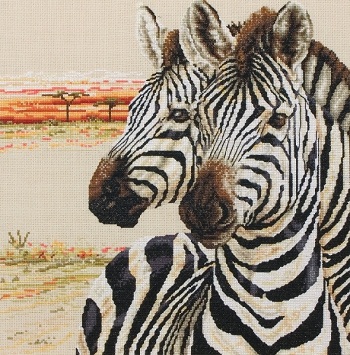 Zebras by Maia