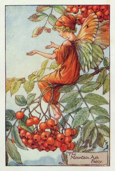 The Mountain Ash fairy-printed panel by Di van Niekerk