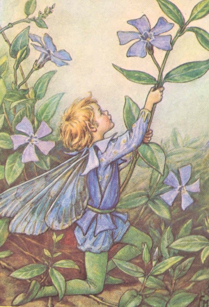 The Periwinkle fairy-printed panel by Di van Niekerk