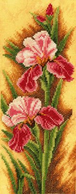 Irises by Lanarte