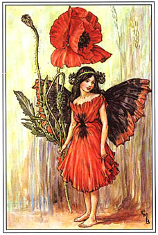 Poppy Fairy -Printed fabric by Di van Niekerk