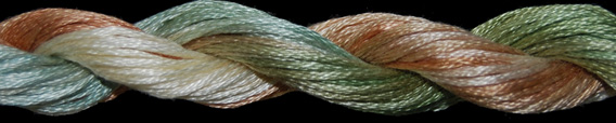 Threadworx 20y - 1113  Indian Summer