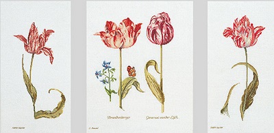 Thea Gouverneur GOK2039 Tulips