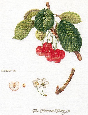 Thea Gouverneur GOK2058 Cherries