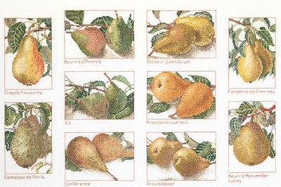 Thea Gouverneur GOK2097 Pears