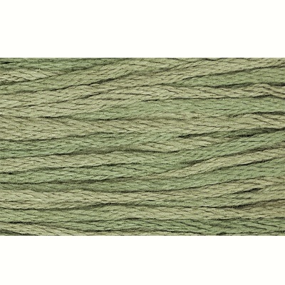 Weeks DYE Works - 2199 Tarragon