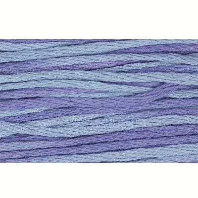 Weeks DYE Works - 2342 Dutch Iris