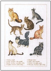 Permin Cats