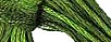Classic Colorworks English Ivy CCT-179