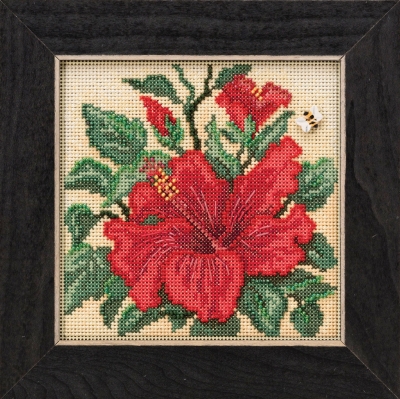 Hibiscus MH141915 Mill Hill
