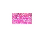 Opalescent pink Glissen Gloss Estaz