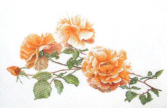 Thea Gouverneur GOK414 Orange Rose