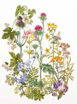 Wild flowers by Thea Gouverneur