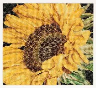 Thea Gouverneur Sunflower,GOK488