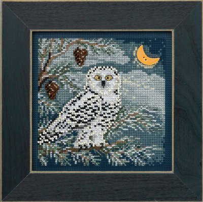 Snowy Owl,MH144304,Mill Hill
