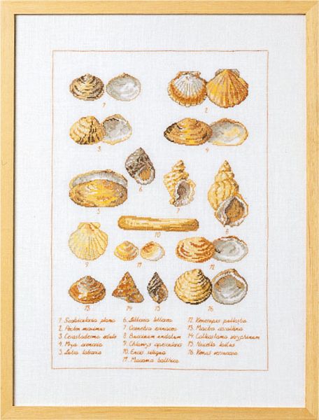Permin Seashells